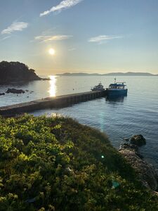 Giens Porquerolles Gouden Eilanden