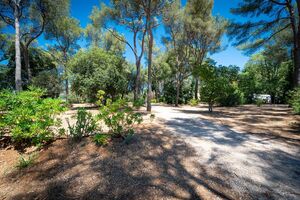 Staanplaats voor caravan op milieuvriendelijke natuurcamping in La Londe, Zuid-Frankrijk