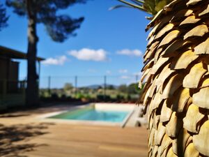 Privé zwembad op 4-sterrencamping in de Provence