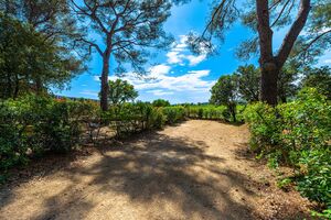 Verhuur van ruime staanplaatsen voor tenten op schaduwrijke camping in Hyères