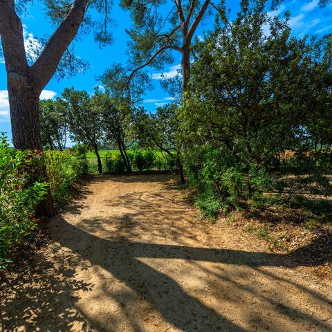 Standaard Staanplaatsen - Tent / Caravan / Camper