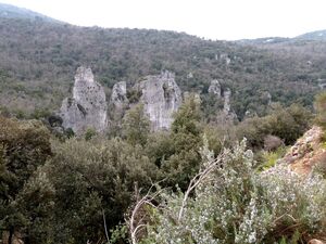 Wandeling in de Provence