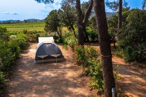 Kampeerplaats voor tent op eco-verantwoorde camping in de natuur in de Provence
