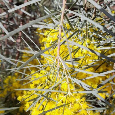 A pieds ou à vélo : le barrage du Trapan (Bormes)