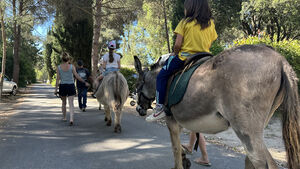 Camping Les Jardins de la Pascalinette ®