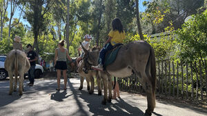 Camping Les Jardins de la Pascalinette ®