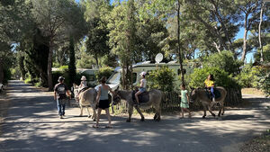 Camping Les Jardins de la Pascalinette ®