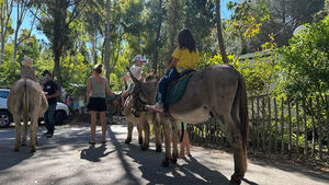 Camping Les Jardins de la Pascalinette ®