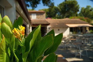 Een groene en bloemrijke camping aan de Franse Rivièra
