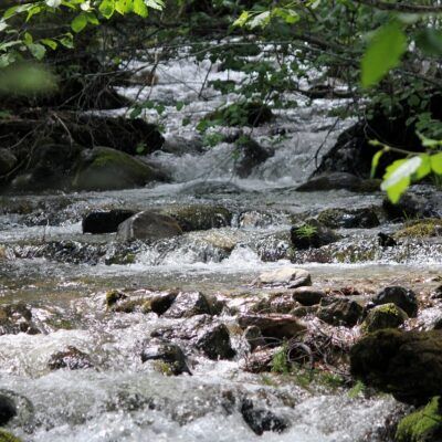Rivieren rond La Londe-les-Maures