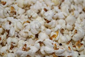 Camping Les Jardins de la Pascalinette ®