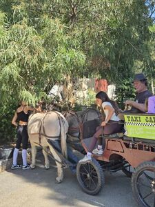 Camping Les Jardins de la Pascalinette ®