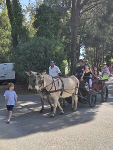 Camping Les Jardins de la Pascalinette ®